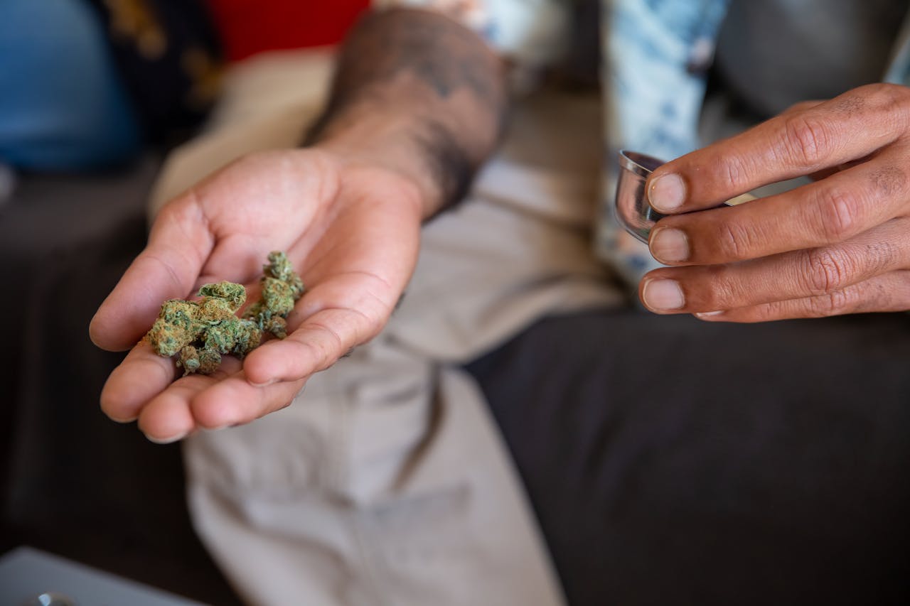 Close-up of an adult's hand holding cannabis buds with a canister, showcasing herbal marijuana use.