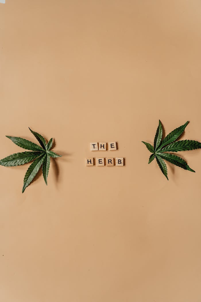Styled photo featuring cannabis leaves and Scrabble tiles spelling 'The Herb' on a brown background.